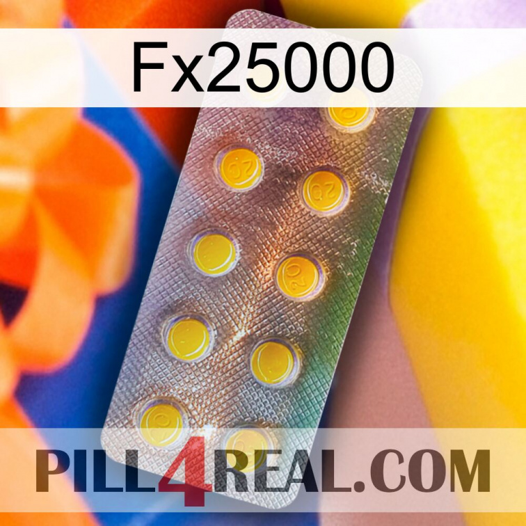 Fx25000 new11